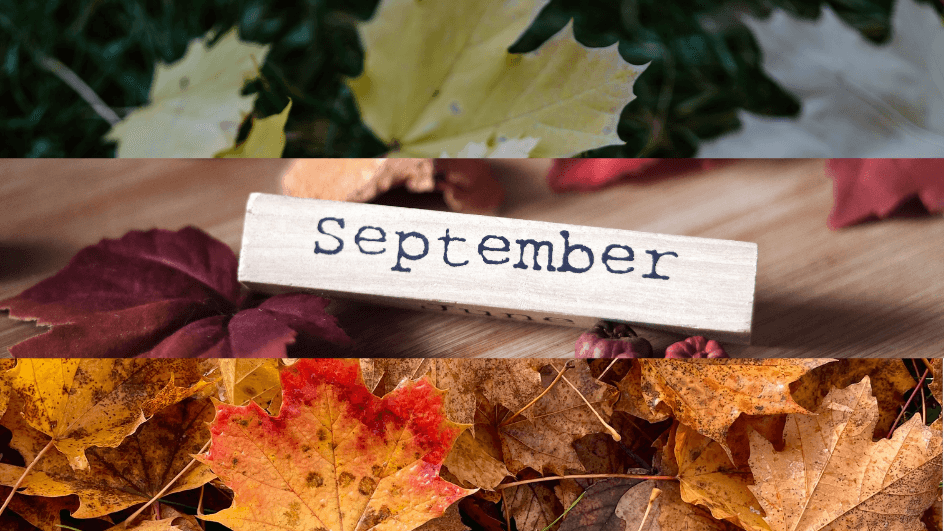 Newsletter September