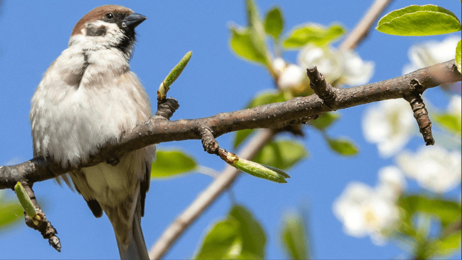 Newsletter März 2026